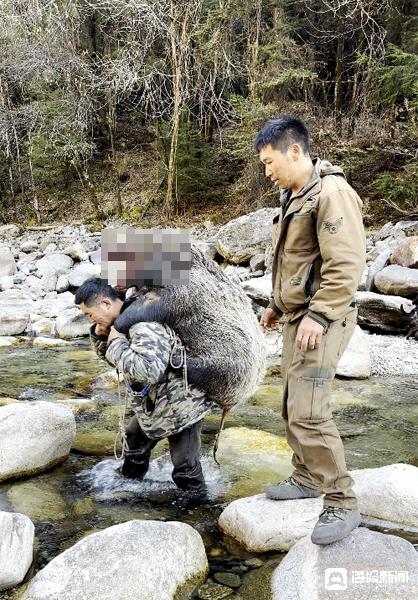 职业野猪猎人称月入过万并不划算 付出与回报不成正比