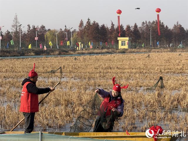 湖北潜江冬虾抢“鲜”上市 打破季节性壁垒